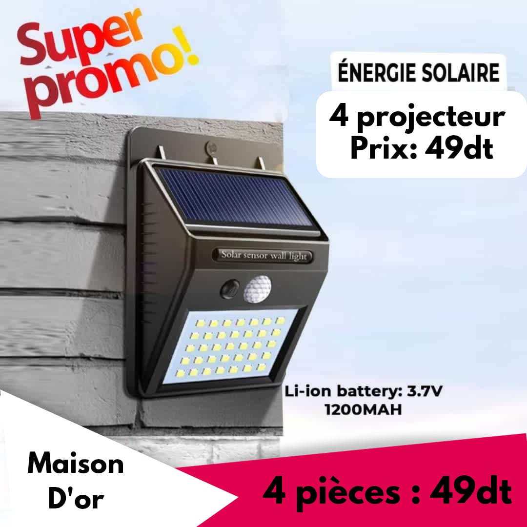 Lampe Solaire Extérieure avec Détecteur de Mouvement -20 LED