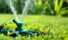 outils incontournables pour un jardin bien entretenu